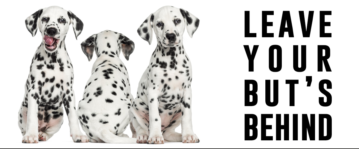 three dalmation puppies, two looking forward, middle one looking backward, overlay text of leave your but behind