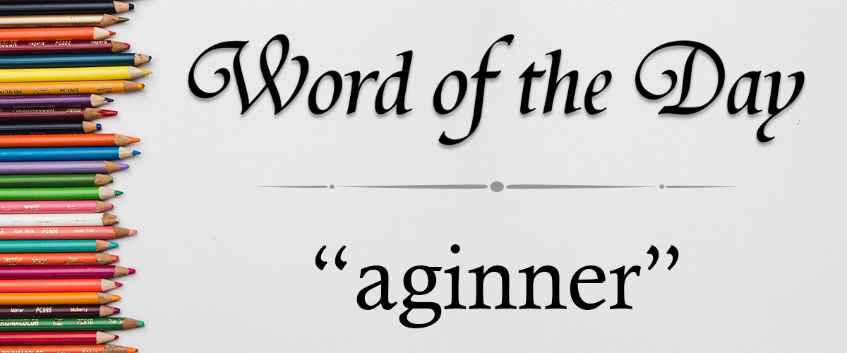 word of the day - aginner