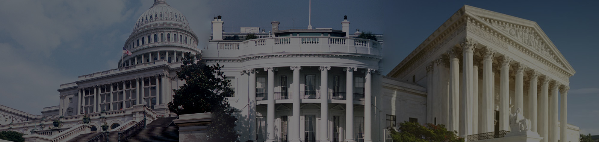 header photograph for government workshops with a montage of the three branches of government, left to right, the capitol, the white house, and the supreme court