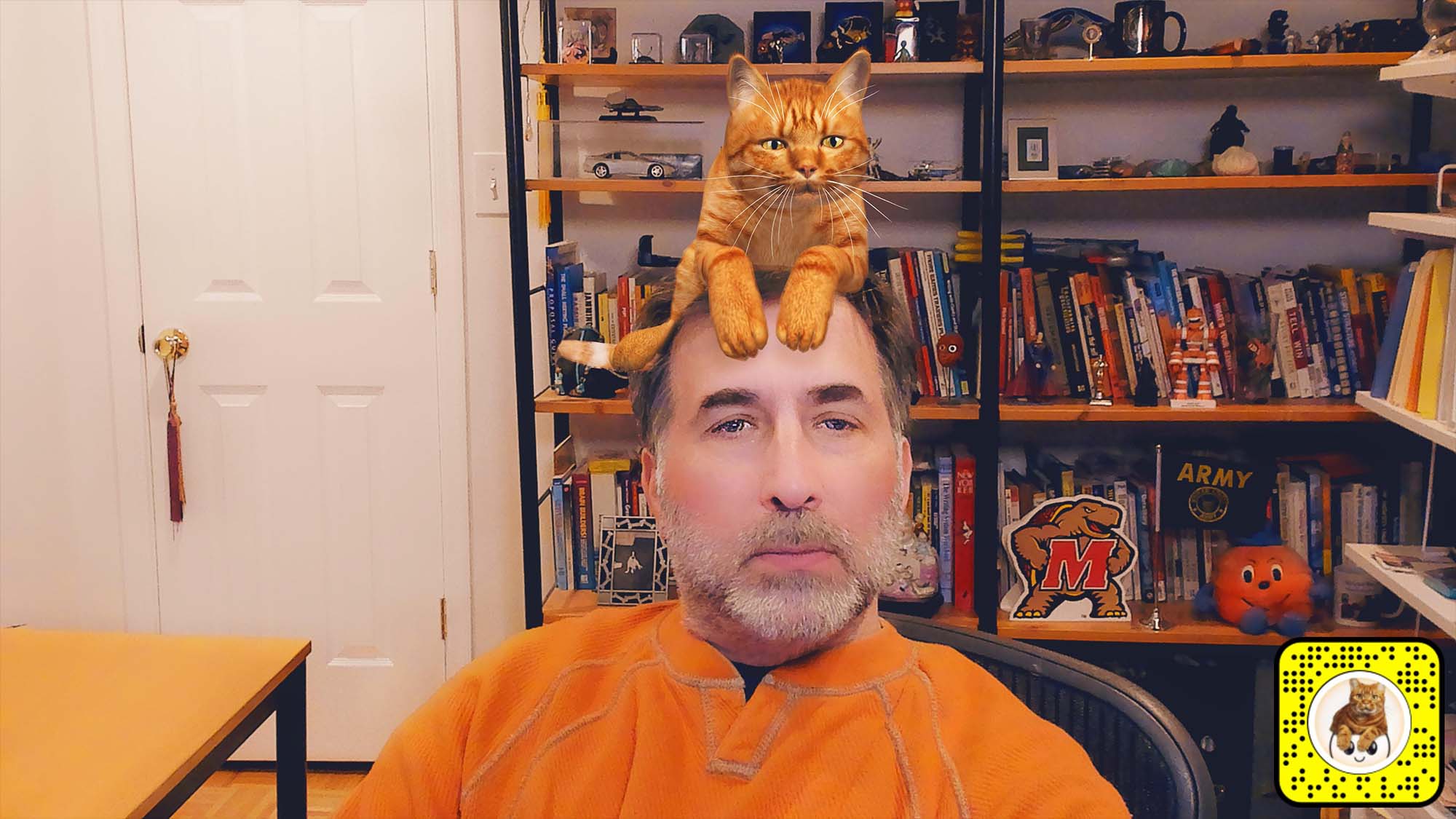 Snap Camera filter lens for a cat on your head